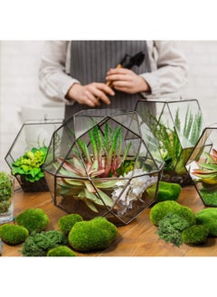 Chuangdi Artificial Moss Rock Assorted Sized Decorative Faux Green Stones Green Moss Balls With 20 Gram Preserved Green Moss For Floral Arrangements And Cra Feet Ing Gardens 20 Pieces  - Image 5