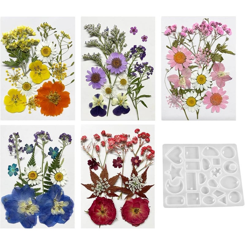 Resin crafting: natural dried pressed flowers, assorted colors, 60PCS real botanicals for jewelry, candles, soap, nails, scrapbooking, and DIY art molds - Image 1