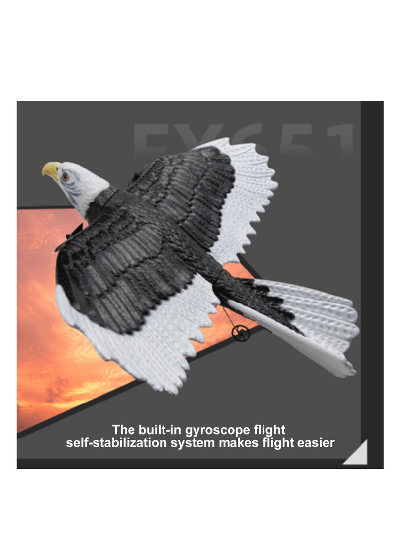 AROAQ DIY RC Plane Toy FX651 2B Remote Control Airplane DIY Fixed Wing Aircraft - Image 1