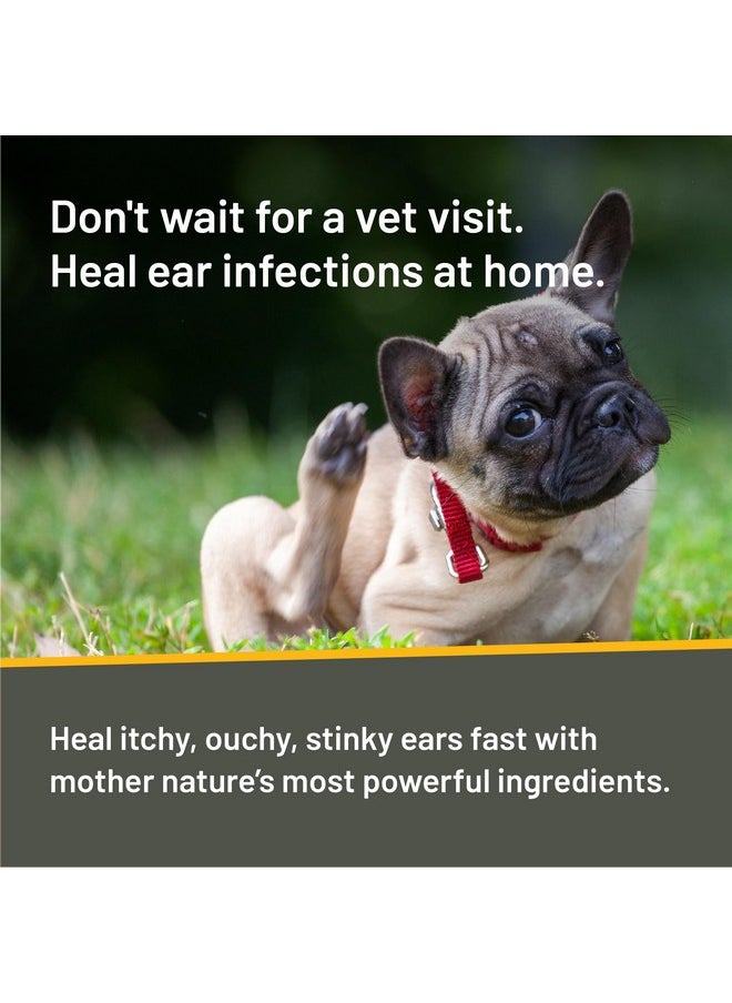 Absorbine - Silver Honey Rapid Ear Care Vet Strength Ear Cleaner + Infection Treatment, 10Day Regimen For 1 Ear, Safe For Dogs & Cats, Medical Grade Manuka Honey & Microsilver Bg - Image 1