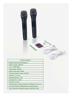 Smart Berry M90 Portable Wireless Bluetooth Karaoke Speaker Stereo Bass Dual Microphone  - Image 3