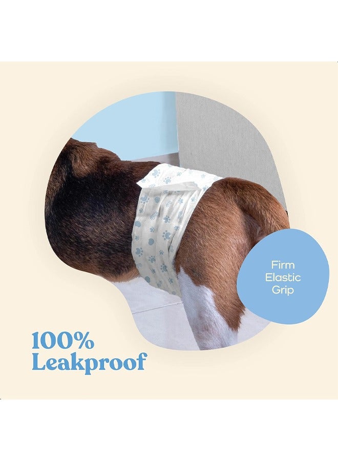 Generic Comfortable Male Dog Diapers 10 Pack Super Absorbent Disposable Male Dog Wraps Gel Technology Doggie Diapers Leakproof Belly Wraps for Incontinence Excitable Urination  - Image 5