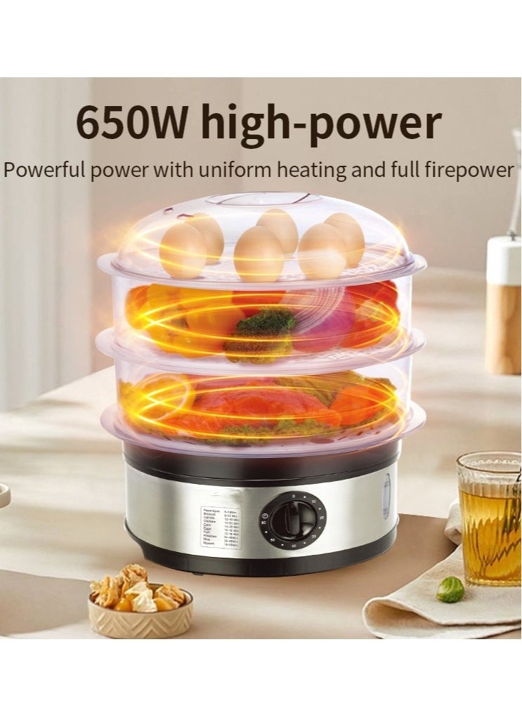 11L Stainless Steel Food Steamer With 3 Tier And Timer, 650 W, silver