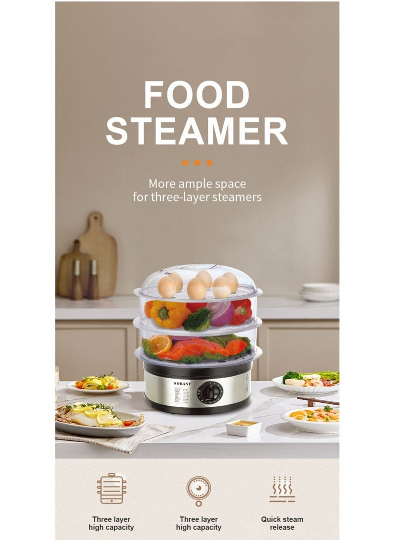 11L Stainless Steel Food Steamer With 3 Tier And Timer, 650 W, silver