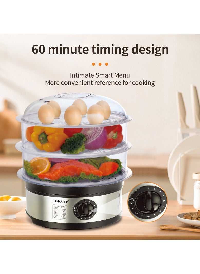 11L Stainless Steel Food Steamer With 3 Tier And Timer, 650 W, silver