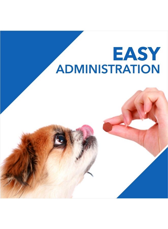 Drools Absolute Dog Supplement Tablet, Vitamin 175G 50 Pieces Jar - Image 4