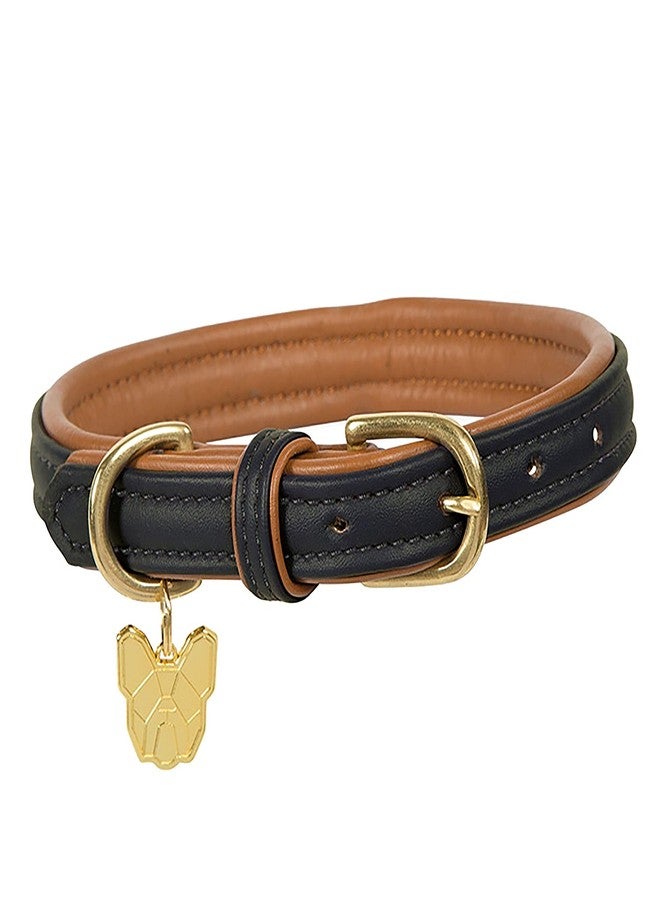 Shires Digby & Fox Padded Leather Dog Collar (Small, Black) - Image 2