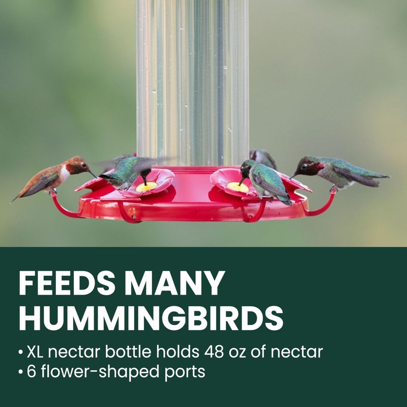 Perky-Pet 220 The Grand Master 48-Ounce Hummingbird Feeder - Image 2