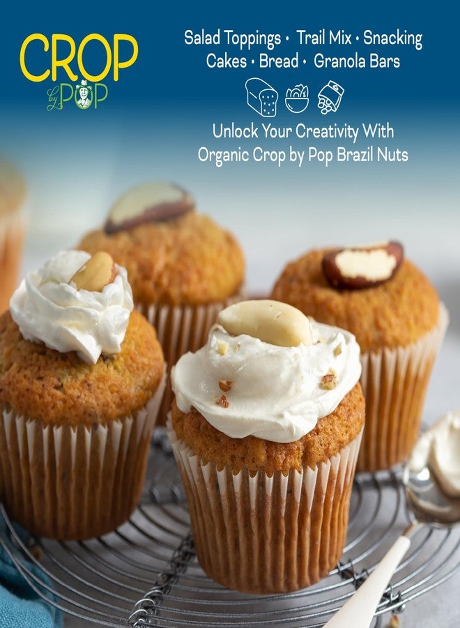 Nut Cravings CROP BY POP - Organic Raw Brazil Nuts (8oz - 1 Pack) Packed Fresh in Resealable Bag - USDA Organic, Non GMO - Naturally Grown, Vegan, Kosher - Image 2