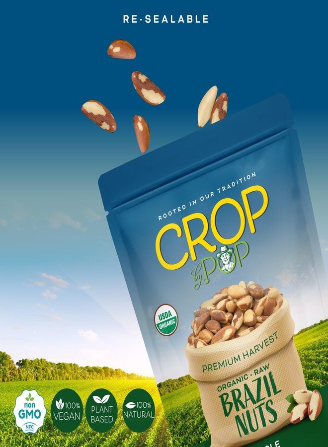 Nut Cravings CROP BY POP - Organic Raw Brazil Nuts (8oz - 1 Pack) Packed Fresh in Resealable Bag - USDA Organic, Non GMO - Naturally Grown, Vegan, Kosher - Image 4