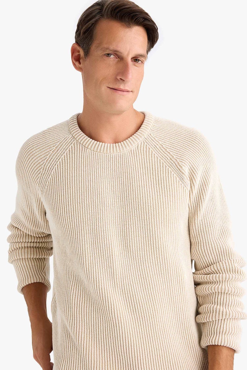 DeFacto Man Standard Fit Crew Neck Knitwear Pullover - Image 1