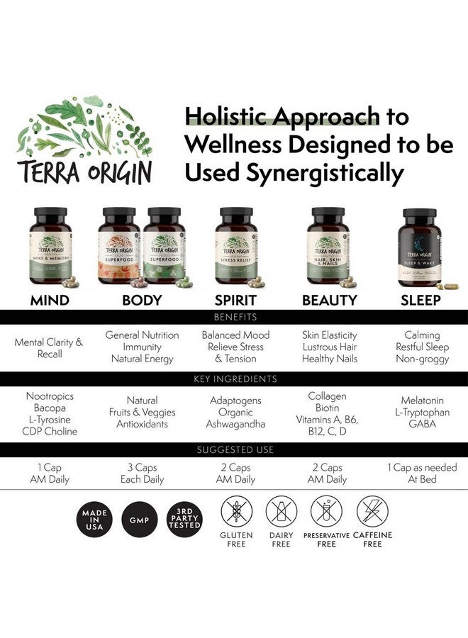 TERRA ORIGIN Healthy Stress Relief Capsules | 60 Capsules | Rhodiola Extract, Astragalus Root, Holy Basil and KSM-66 Organic Ashwagandha - Image 3