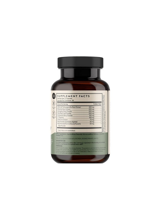 TERRA ORIGIN Healthy Stress Relief Capsules | 60 Capsules | Rhodiola Extract, Astragalus Root, Holy Basil and KSM-66 Organic Ashwagandha - Image 2