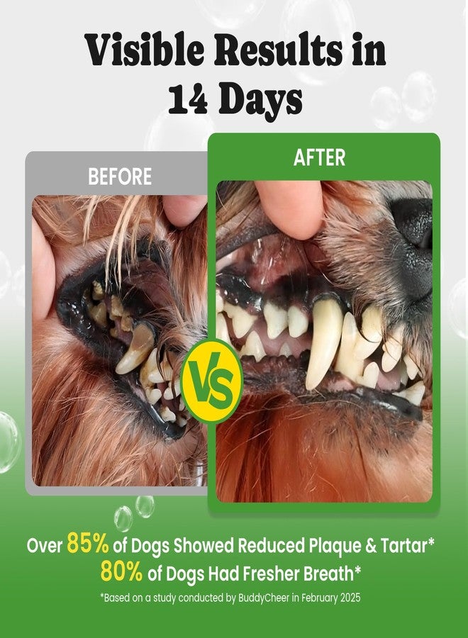 BuddyCheer Dog Tooth Cleaning Powder, Dog Dental Powder and Cat Breath Freshener, Plaque Off Pet Teeth Cleaning Lab Co, Dog Breath and Tartar Remover, Dog Teeth Cleaning with Enzymes - Supply 60 Days - Mint - Image 2