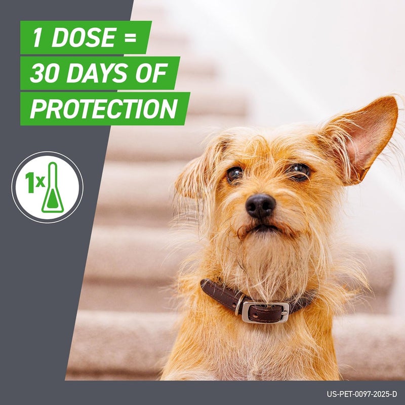 Frontline Plus for Dogs - Medium Dog Flea and Tick Treatment (23-44 lbs) - 6 Doses - Image 5