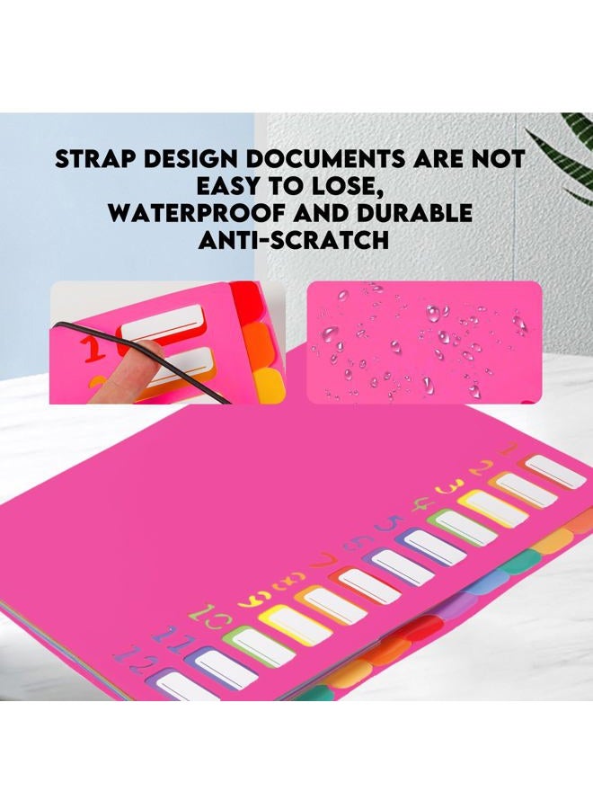 Mafegu 24 Pockets Expandable Folder,File Manager,Letter Size,Holds 240 Sheets,Plastic Rainbow Lined,Colorful Folders,Designed for Home,Office,School Test Papers Contract Organizer (Rose Pink) - Image 2