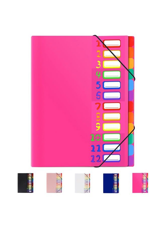 Mafegu 24 Pockets Expandable Folder,File Manager,Letter Size,Holds 240 Sheets,Plastic Rainbow Lined,Colorful Folders,Designed for Home,Office,School Test Papers Contract Organizer (Rose Pink) - Image 1