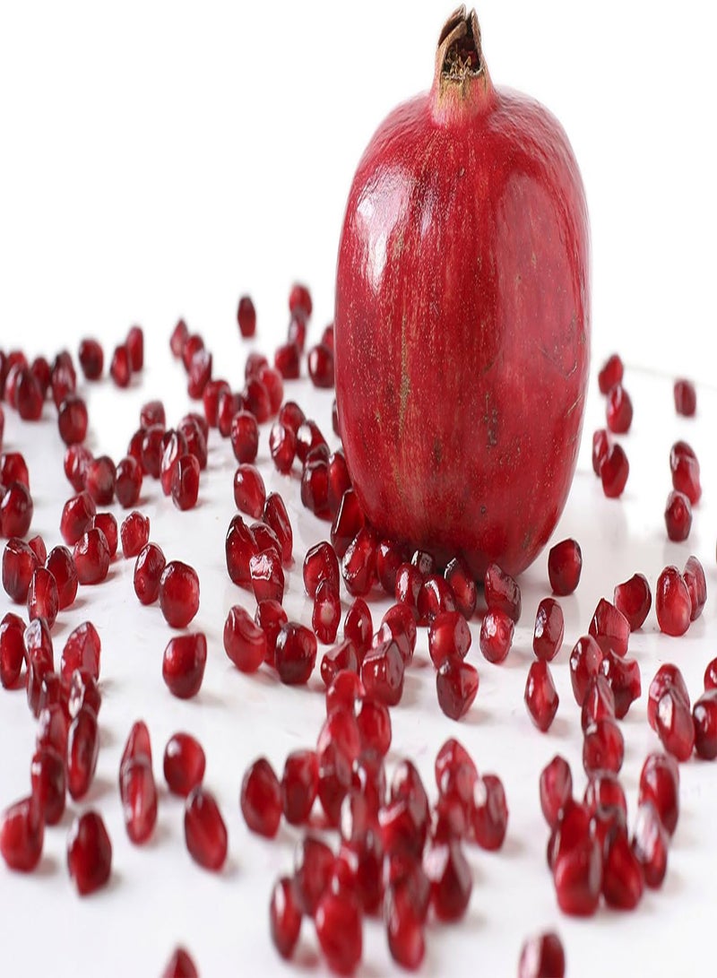 GGOOT Pomegranate 30 Seeds - Punica granatum