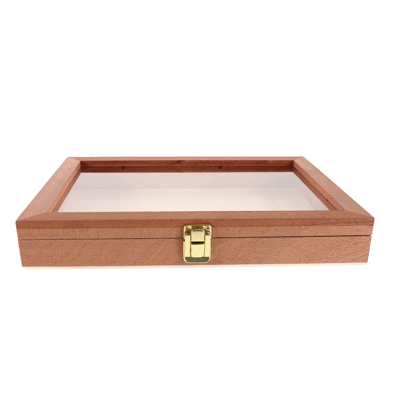 Rectangular Storage Box For And Butterfly Specimens Transparent Display Case Wood Shadow Box With Clear Window For Home Decor - Image 5
