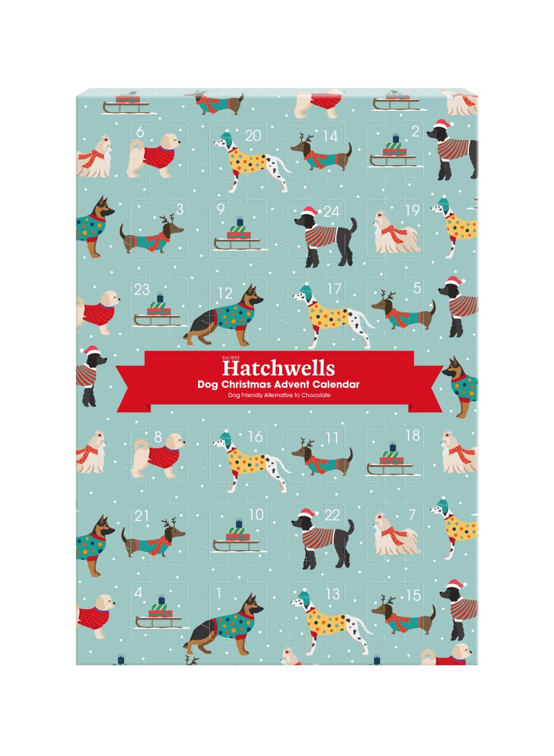 Webbox Dog Advent 70G