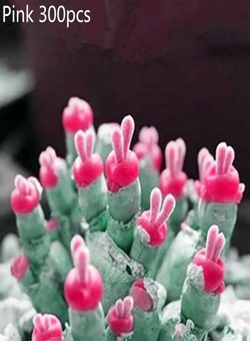 GGOOT 100/300Pcs Plant seeds Productive Non GMO Safe Natural Mix Multicolor Rabbit Shape seeds Garden Supplies Pink 300pcs - Image 3