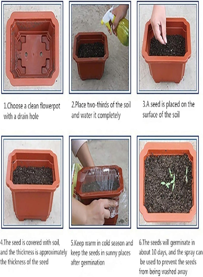 GGOOT 100/300Pcs Plant seeds Productive Non GMO Safe Natural Mix Multicolor Rabbit Shape seeds Garden Supplies Pink 300pcs - Image 5