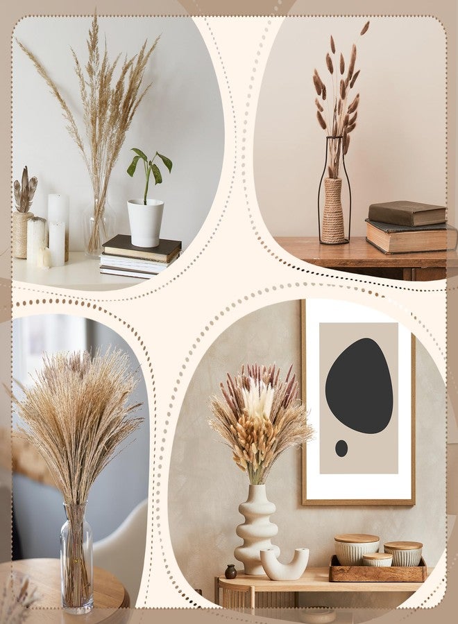 Huiguli باقة من 300 قطعة من عشب البامباس المجفف، ديكور عشب البامباس الطبيعي لحفلات الزفاف البوهيمية، باقات زهور مجففة لتنسيقات المزهريات في غرف المعيشة العصرية والمكاتب وحفلات المنازل الريفية - Image 5