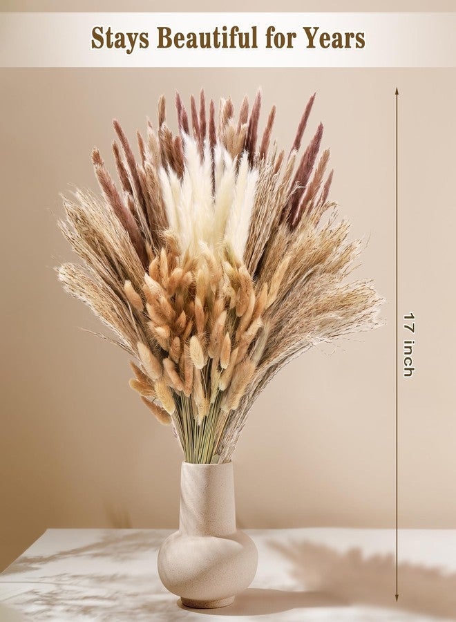 Huiguli باقة من 300 قطعة من عشب البامباس المجفف، ديكور عشب البامباس الطبيعي لحفلات الزفاف البوهيمية، باقات زهور مجففة لتنسيقات المزهريات في غرف المعيشة العصرية والمكاتب وحفلات المنازل الريفية - Image 2