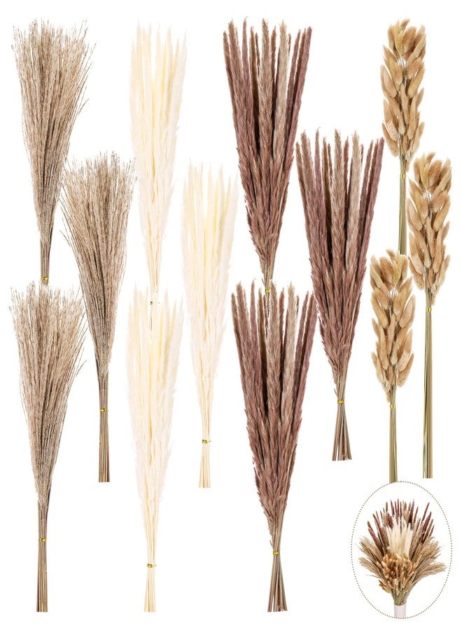 Huiguli باقة من 300 قطعة من عشب البامباس المجفف، ديكور عشب البامباس الطبيعي لحفلات الزفاف البوهيمية، باقات زهور مجففة لتنسيقات المزهريات في غرف المعيشة العصرية والمكاتب وحفلات المنازل الريفية - Image 1