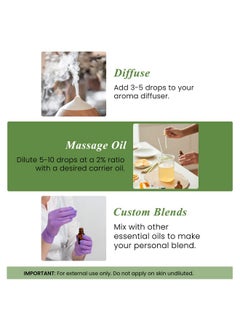 handcraft Blends Rosemary Essential Oil - Huge 4 Fl Oz - 100% Pure And Natural - Premium Grade Essential Oil For Diffuser And Aromatherapy  - Image 5