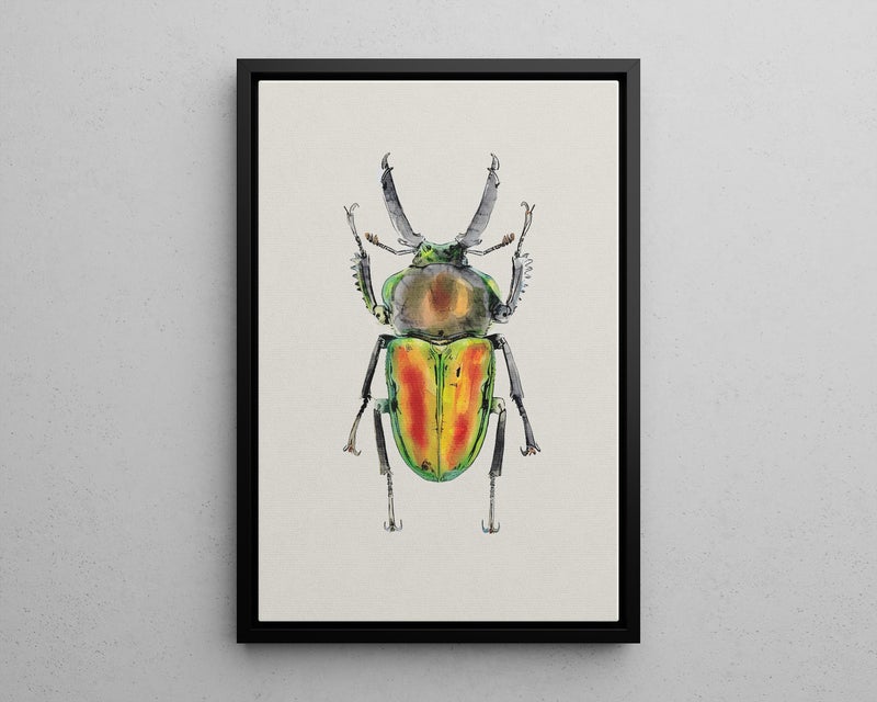 TNESSENTIAL Rainbow Stag Beetle Watercolor Wall Art Poster or Canvas Print, Phalacrognathus Muelleri Illustration, Iridescent Metallic Insect Wall Decor - Image 5