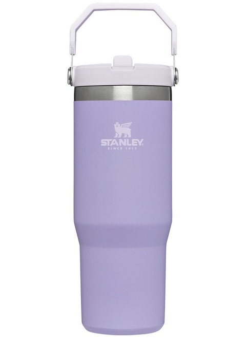 Stanley Quencher H2.0 FlowState Stainless Steel Vacuum Insulated Tumbler with Lid and Straw for Water, Iced Tea or Coffee, Smoothie and More, Tigerlily,30oz