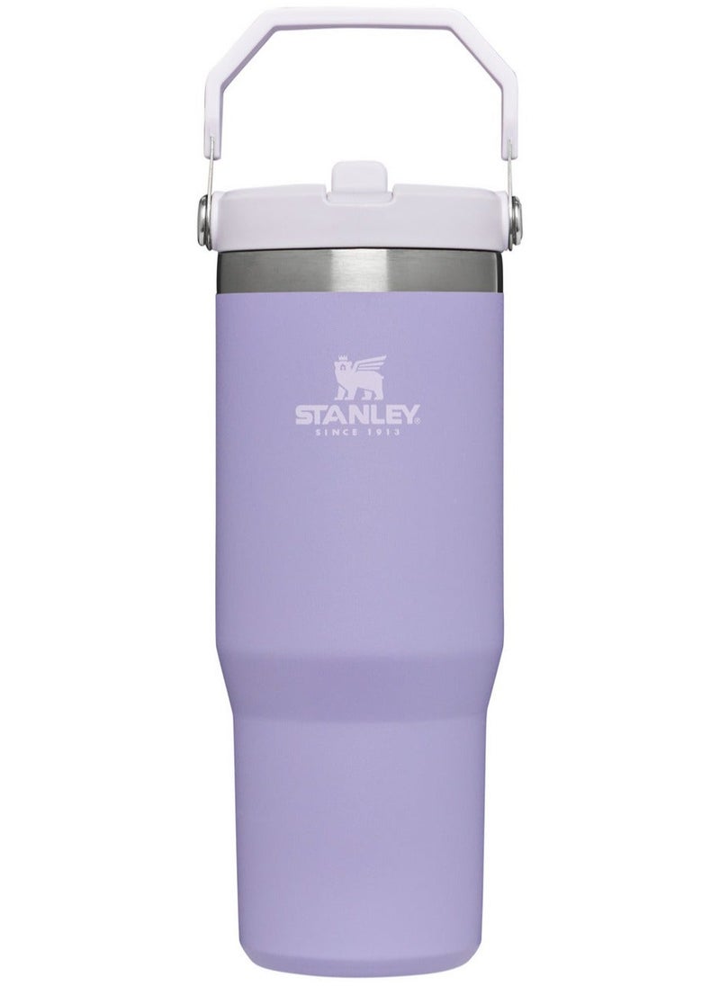 Stanley Quencher H2.0 FlowState Stainless Steel Vacuum Insulated Tumbler with Lid and Straw for Water, Iced Tea or Coffee, Smoothie and More, Tigerlily,30oz