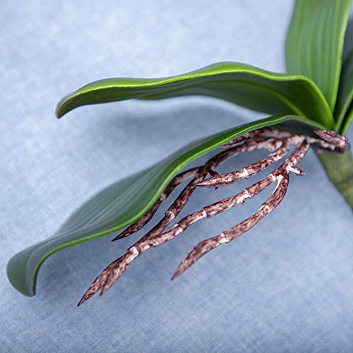Fnize Orchid Leaves Artificial Phalaenopsis Stems Leaf Faux Cymbidium Flower Foliage Green Real Touch Latex Bulk 8 Inches 2pcs - Image 3