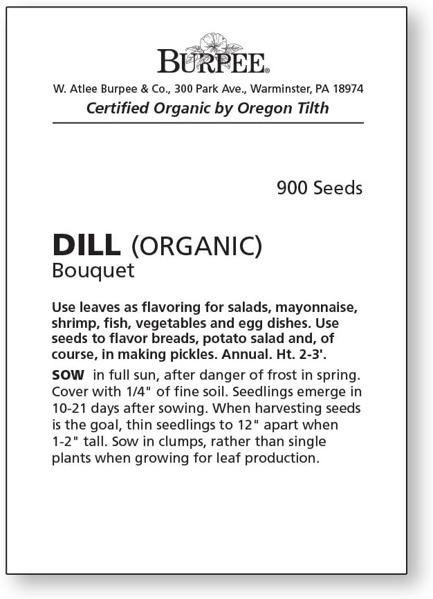 Burpee Bouquet Organic Dill Seeds 900 seeds - Image 2