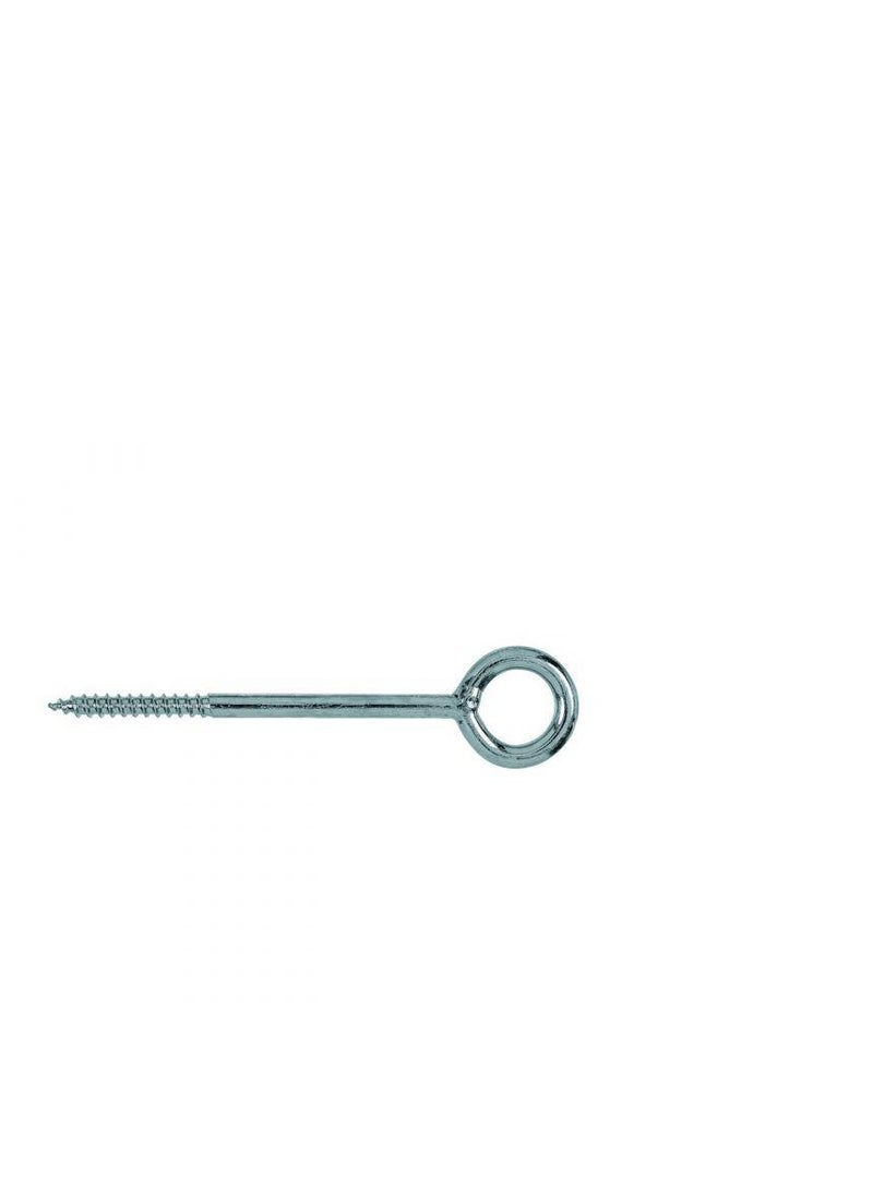 Fischer Fischer Eye Screw GS 8 x 80K
