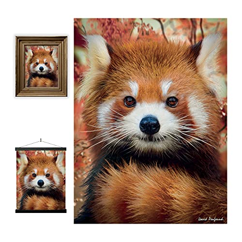 3D LiveLife Lenticular Wall Art Prints - Baby Red Panda from Deluxebase. Unframed 3D Jungle Poster. Perfect wall decor. Original artwork licensed from renowned artist, David Penfound - Image 1