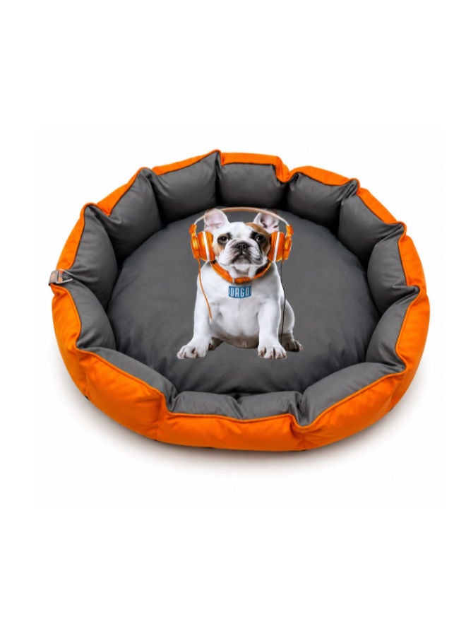 Accessories orgo Dog & Cats ORGO - POGO BED - For Dog & Cats - Octangonal M Orange
