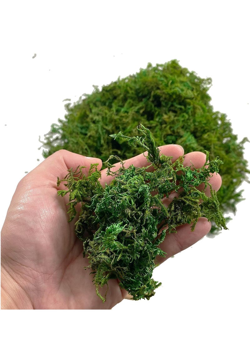 ماركة غير محددة 𝐅𝐅𝐃 جرام من الطحالب الصناعية الخضراء المزيفة، طحلب الرنة المحفوظ عالي الجودة للقطع المركزية، والتنسيقات الزهرية، والأحواض الزجاجية، والحرف اليدوية، مقاوم للبهتان، ولا يحتاج إلى صيانة، ديكور منزلي وحديقة  - Image 2