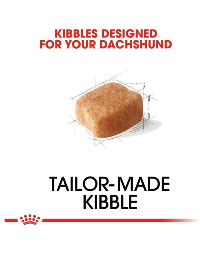 ROYAL CANIN Breed Health Nutrition Dachshund Adult 1.5 KG - Image 2