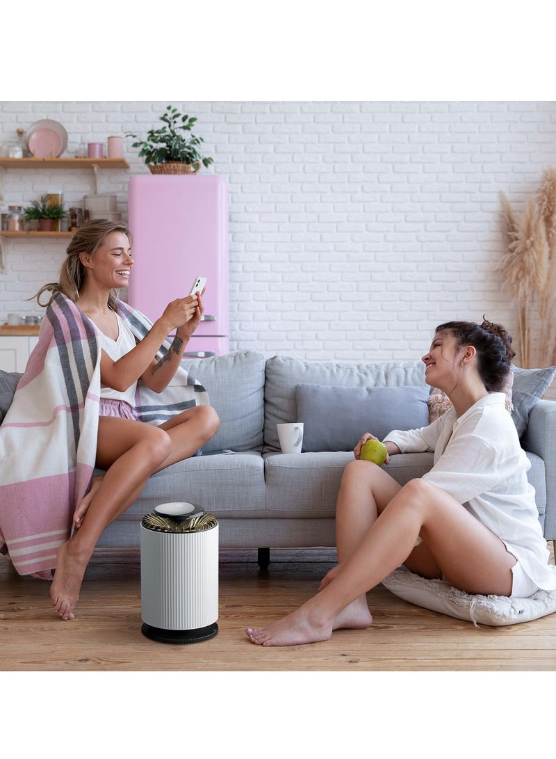 Mini Air Purifier Small Air Purifier for Home Bedroom with Light and Two Speeds Activated Carbon Hepa Air Purifiers for Filters Out Pollen Dust and Pet Allergies Ideal for Bedroom