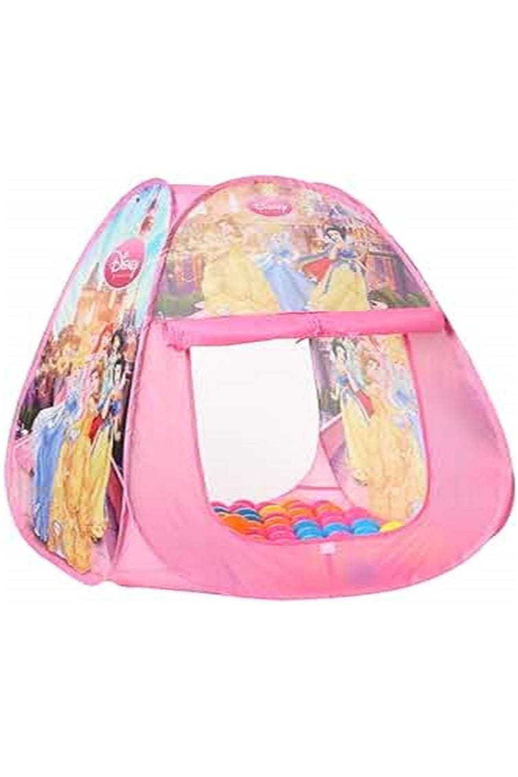 Disney Princess tent