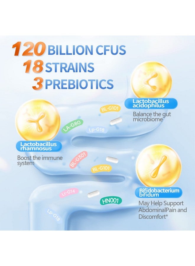 OMOGS Probiotics 120 Billion Cfus 18 Strains3Prebioticsprobiotics Capsule Suppment Helps Support Digestive  Gut Health Immune Strength  Absorb Nutrition 60 Capsules 60 Day Supply - Image 5