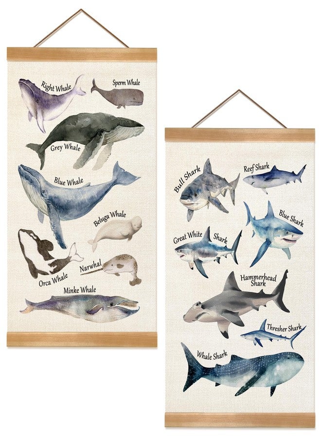 ZTGDA Sharks and Whales Posters, Sea Animals Shark Posters Wall Art, Educational Poster for Kid Classroom Decorations Home Nursery Playroom,Kids Room Decor Set of 2 - Image 1