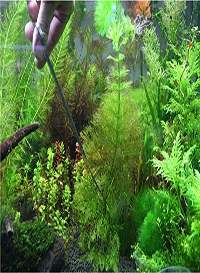 Co-link 3 in 1 Stainless Steel Aquarium Tank Aquatic Plant Tweezers Scissors Tools for Decoration of Your Aquarium Plants - Image 5