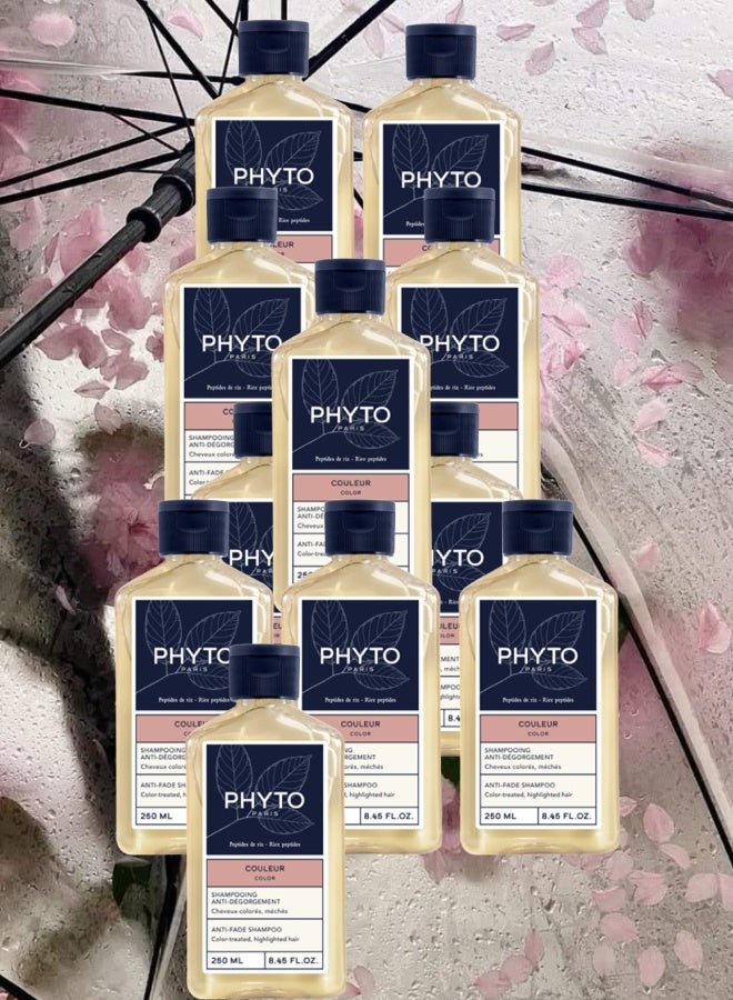 Phyto 11 Pieces Phyto Paris Anti Fade Shampoo 250ML - Image 1