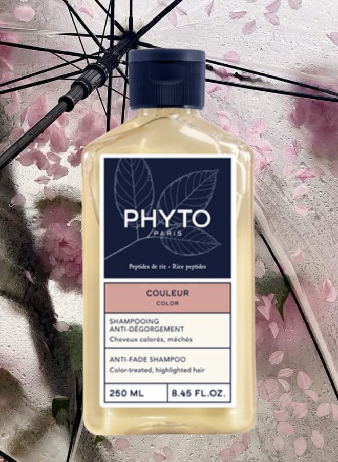Phyto 11 Pieces Phyto Paris Anti Fade Shampoo 250ML - Image 2