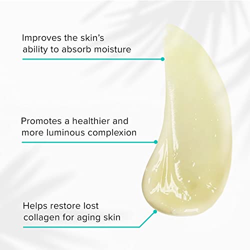 ClarityRx Daily Fruit Antioxidant Moisturizing Mango Face Mask, Plant-Based Creamy Anti-Aging Facial Treatment, Recommended for Mature or Dry Skin (1.7 oz) - Image 3