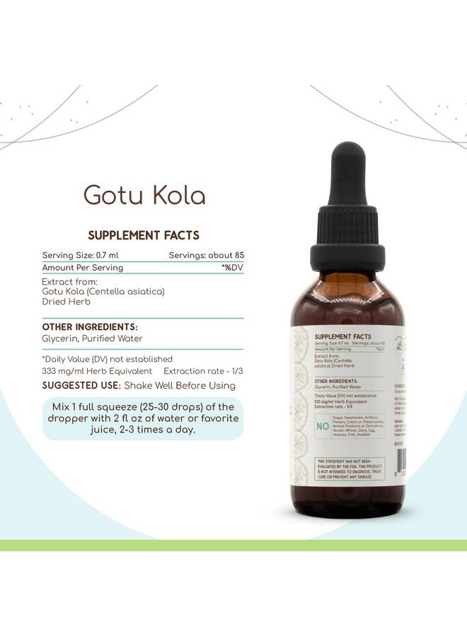 HerbEra Gotu Kola B60 Tincture Alcohol-Free Herbal Extract, Concentrated Liquid Drops Natural Gotu Kola (Centella Asiatica) 2 fl oz - Image 3