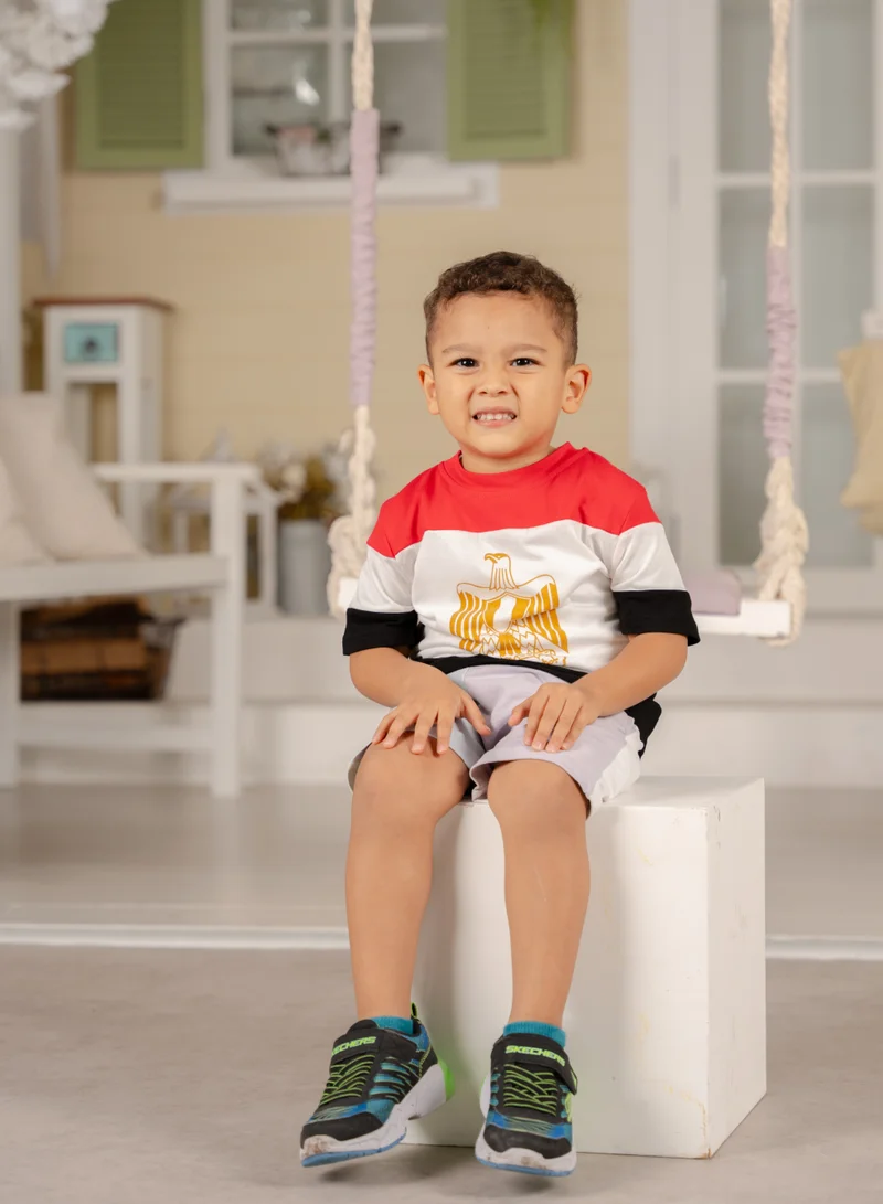 D'Daniela Egypt Flag Tshirt National Wear